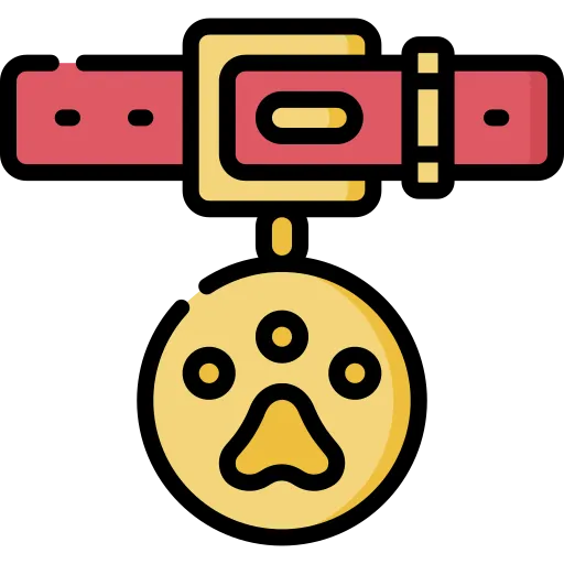 Icono de una correa para mascotas